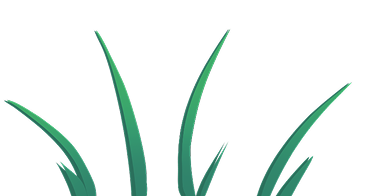 Seagrass